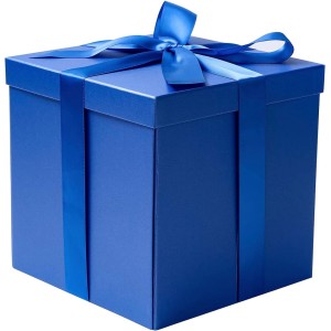 REGALO SORPRESA