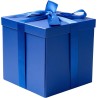REGALO SORPRESA