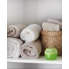 Luftentfeuchter Schrank