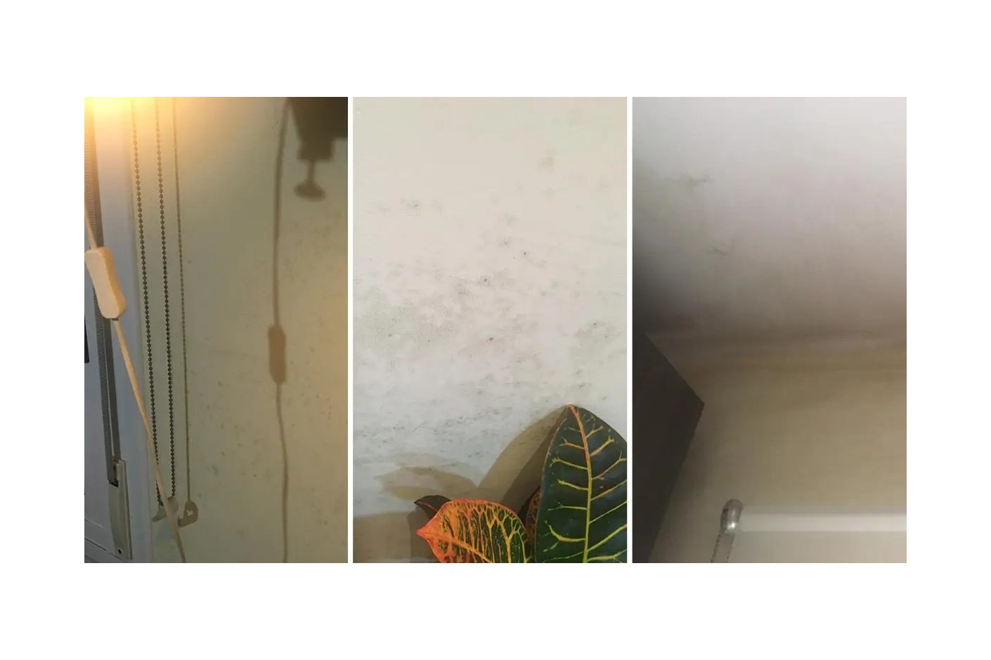 Mehr Zeit zu Hause: So vermeiden Sie Feuchtigkeit in der Wohnung