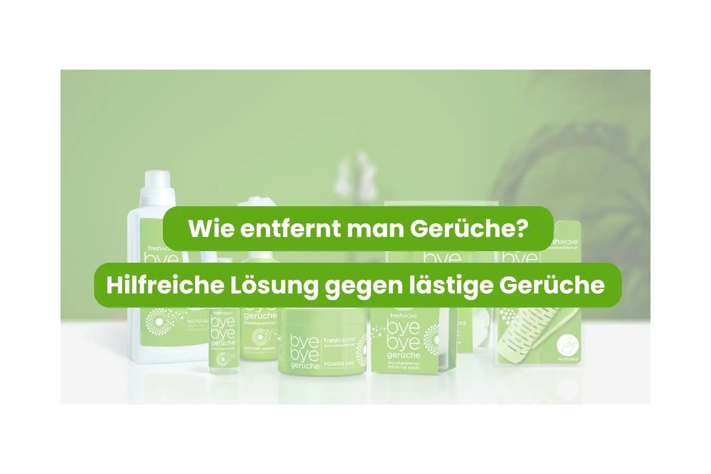 Wie entfernt man Gerüche? Hilfreiche Lösung gegen lästige Gerüche.