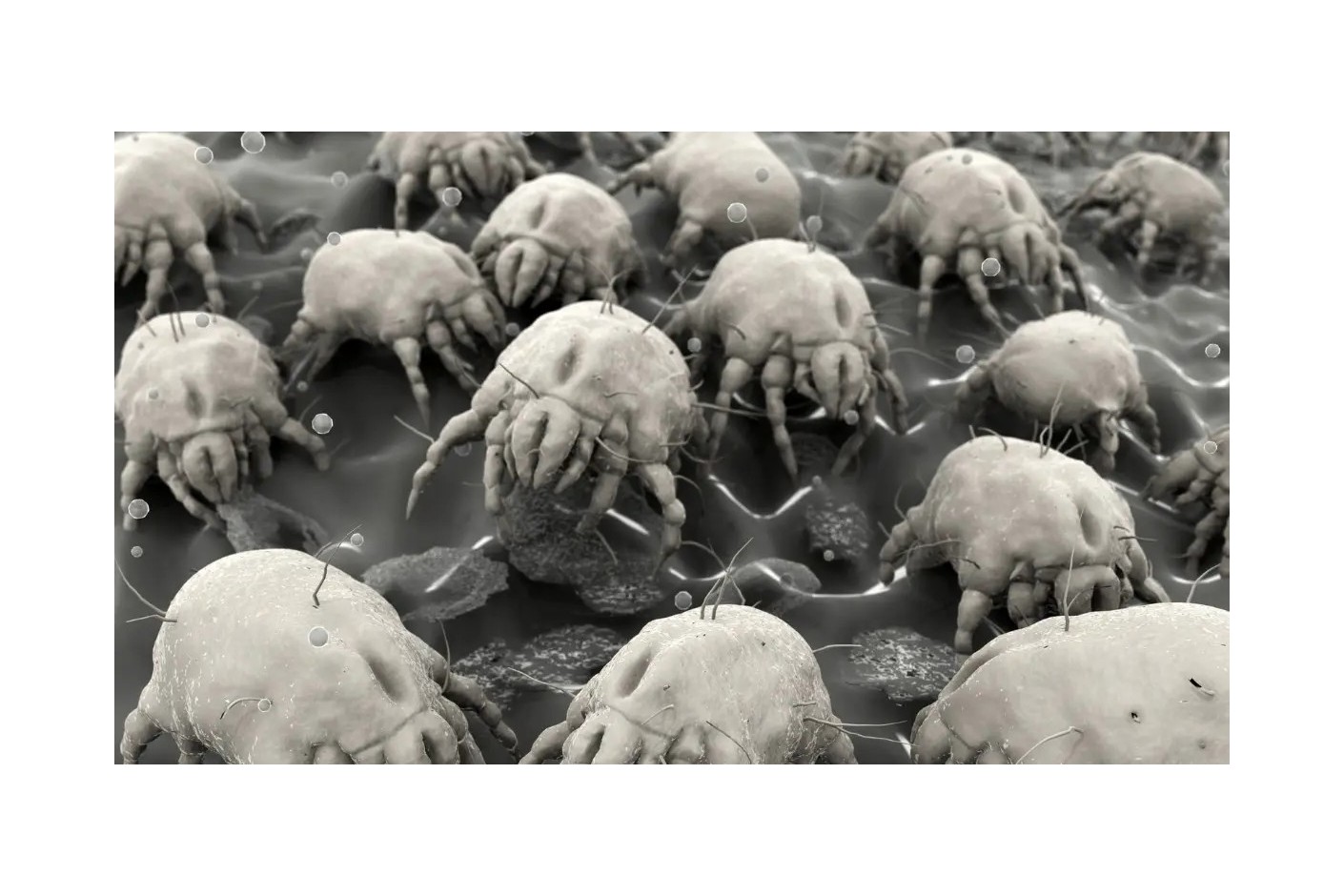 Feuchtigkeit verschlimmert die Symptome einer Allergie