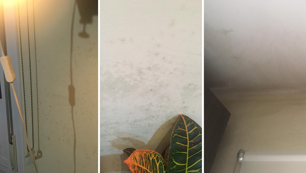 REALER FALL: Wir bleiben zu Hause